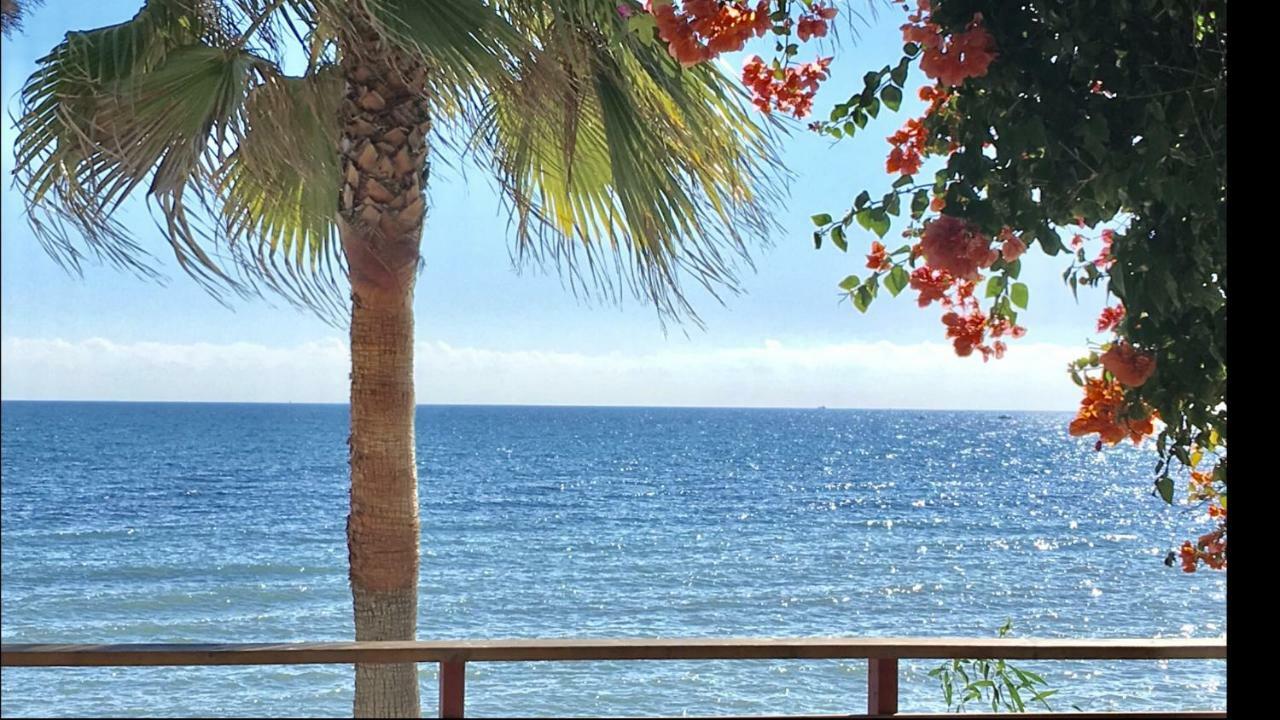 Mi Capricho A16 Beachfront Apartment Sitio de Calahonda 외부 사진